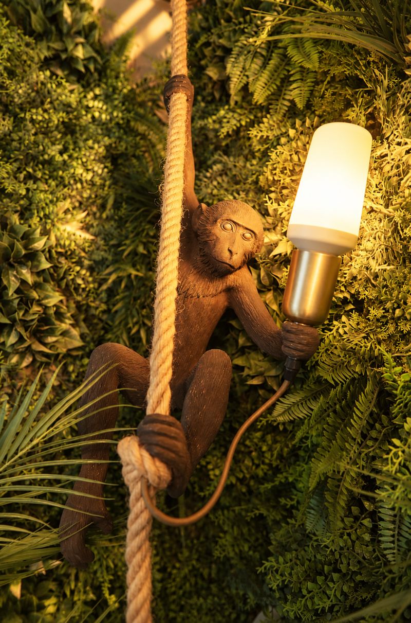 Lampe singe sur le mur végétal
